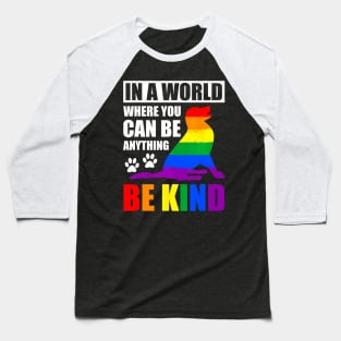 LGBT Gay Pride In a World where you can be Anything Baseball T-Shirt